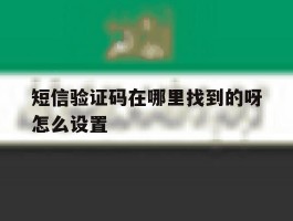 短信验证码在哪里找到的呀怎么设置
