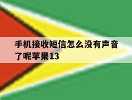 手机接收短信怎么没有声音了呢苹果13的简单介绍