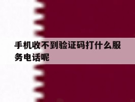 手机收不到验证码打什么服务电话呢