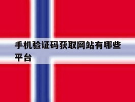 手机验证码获取网站有哪些平台