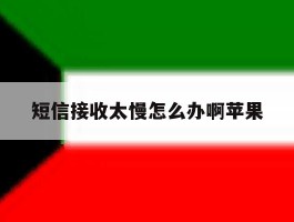 短信接收太慢怎么办啊苹果