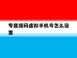 专属接码虚拟手机号怎么设置
