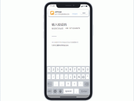 短信接码项目怎么做的呢