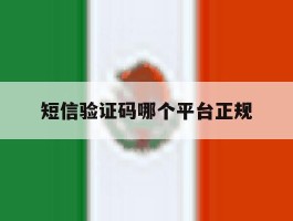 短信验证码哪个平台正规