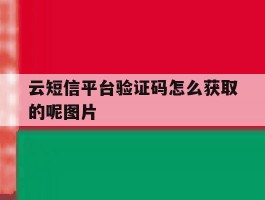 关于云短信平台验证码怎么获取的呢图片的信息