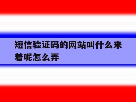 短信验证码的网站叫什么来着呢怎么弄
