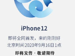 拼多多手机验证码接码失败怎么回事啊苹果12的简单介绍
