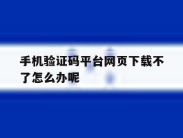 手机验证码平台网页下载不了怎么办呢
