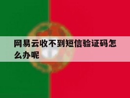网易云收不到短信验证码怎么办呢