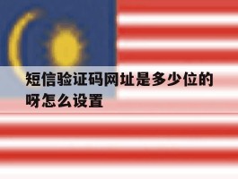 短信验证码网址是多少位的呀怎么设置