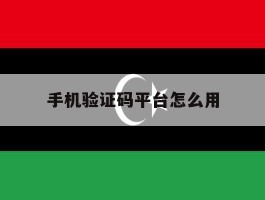手机验证码平台怎么用