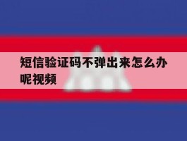 短信验证码不弹出来怎么办呢视频