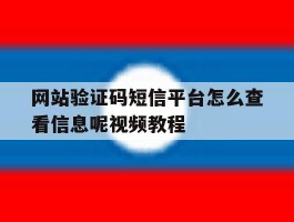 网站验证码短信平台怎么查看信息呢视频教程