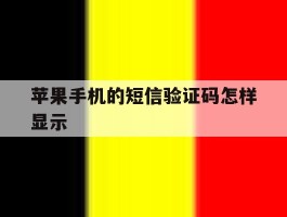 苹果手机的短信验证码怎样显示