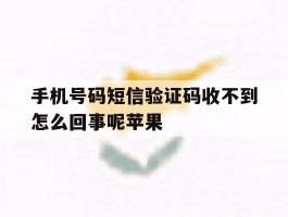 手机号码短信验证码收不到怎么回事呢苹果