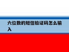 六位数的短信验证码怎么输入