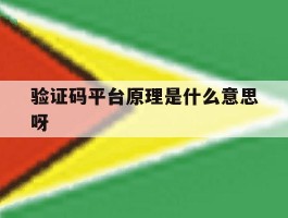 包含验证码平台原理是什么意思呀的词条