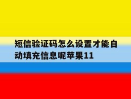 包含短信验证码怎么设置才能自动填充信息呢苹果11的词条