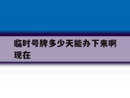 临时号牌多少天能办下来啊现在