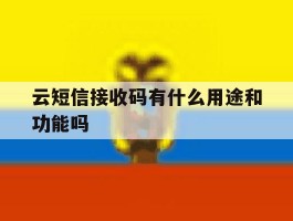 云短信接收码有什么用途和功能吗