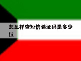 怎么样查短信验证码是多少位