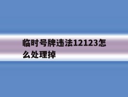 临时号牌违法12123怎么处理掉