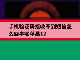 手机验证码接收不到短信怎么回事呢苹果12