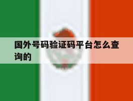 国外号码验证码平台怎么查询的