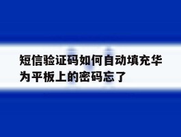 包含短信验证码如何自动填充华为平板上的密码忘了的词条