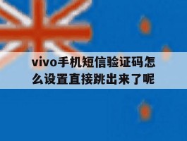 包含vivo手机短信验证码怎么设置直接跳出来了呢的词条