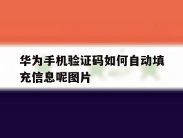 关于华为手机验证码如何自动填充信息呢图片的信息