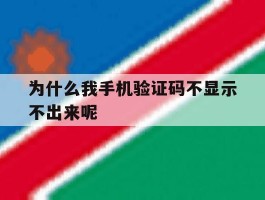 为什么我手机验证码不显示不出来呢