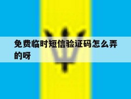 免费临时短信验证码怎么弄的呀