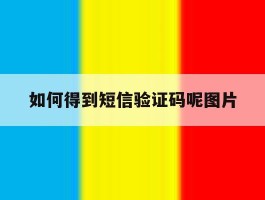 如何得到短信验证码呢图片