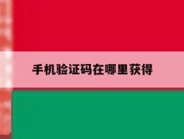 手机验证码在哪里获得