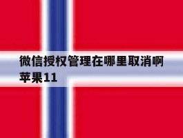 微信授权管理在哪里取消啊苹果11