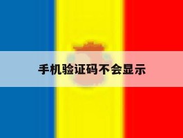 手机验证码不会显示