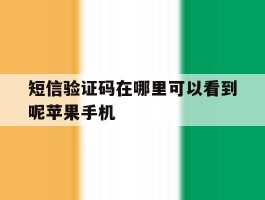 短信验证码在哪里可以看到呢苹果手机