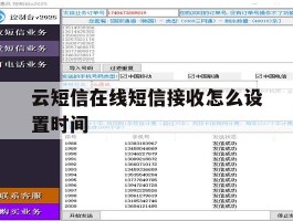 云短信在线短信接收怎么设置时间