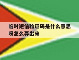临时短信验证码是什么意思呀怎么弄出来