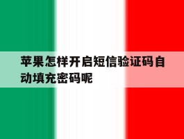 苹果怎样开启短信验证码自动填充密码呢