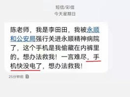 临时接收短信的手机号怎么查看记录内容