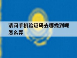 请问手机验证码去哪找到呢怎么弄