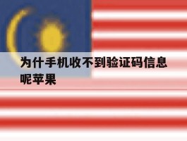 为什手机收不到验证码信息呢苹果