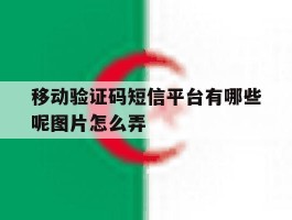 移动验证码短信平台有哪些呢图片怎么弄
