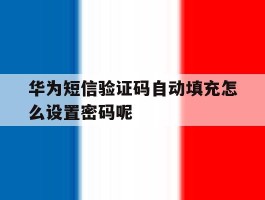 华为短信验证码自动填充怎么设置密码呢