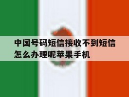 包含中国号码短信接收不到短信怎么办理呢苹果手机的词条