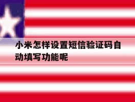 小米怎样设置短信验证码自动填写功能呢