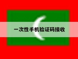 一次性手机验证码接收
