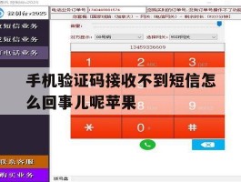 手机验证码接收不到短信怎么回事儿呢苹果